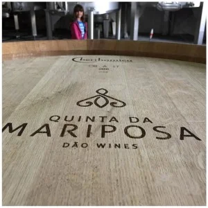 Barriques - Quinta da Mariposa - Vins du Dão