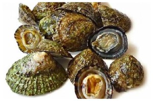 Ormeaux - Azor Concha - Conserves de crustacés des Açores