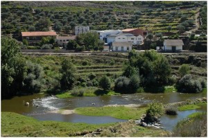Quinta da Brunheda - Vale de Corça - Vins du Douro
