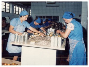 Travail - Comur - Conserves de sardines du Portugal